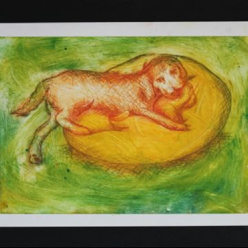 Anna G yellow and green printing dog